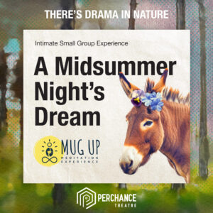 A Midsummer Night's Dream, Mug Up Meditation Experience with an image of a donkey with a flower in its hair