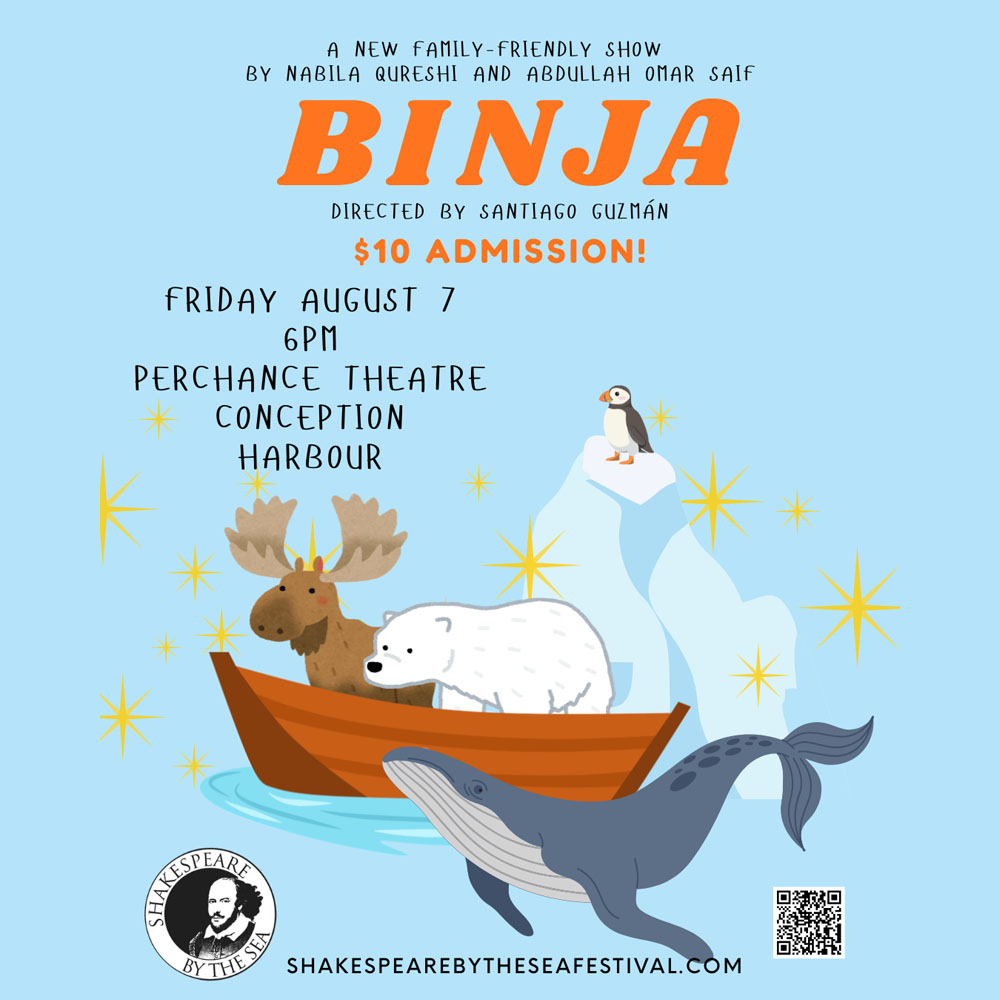 Poster for the Open Sky Series: Binja production